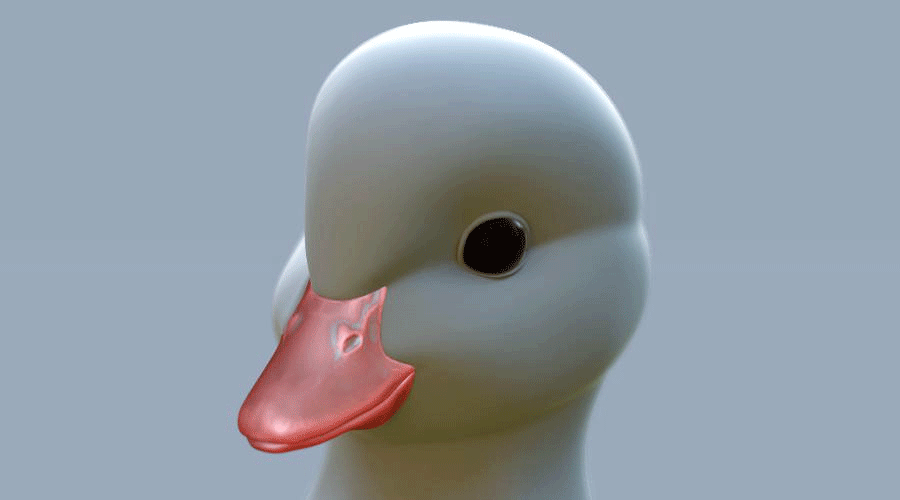 loicb duck