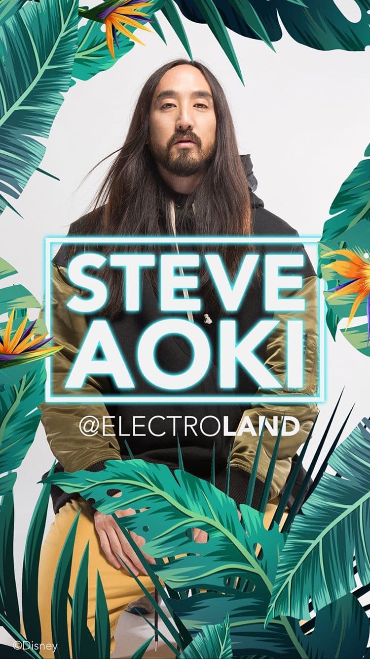 Steve Aoki - Electroland 2019